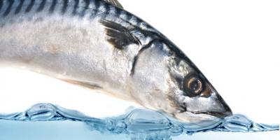 6ef598b10d1539793d4ace8d8b7b613f_l 6ef598b10d1539793d4ace8d8b7b613f_l