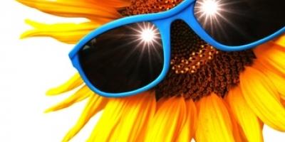 e9ad9fee9d0bc73e0b2c055eb0b268ce_l