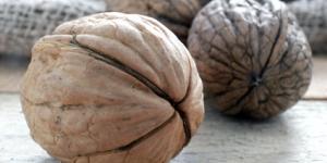 9c2fe6cb8c357cf6d57c8926869c1003_m 9c2fe6cb8c357cf6d57c8926869c1003_m