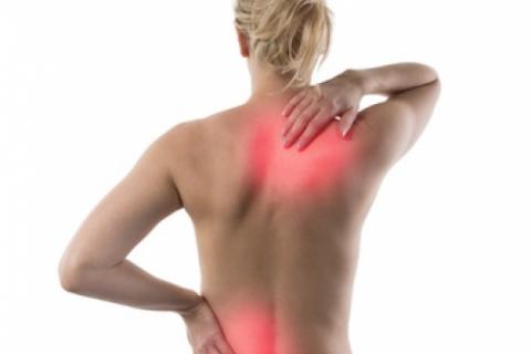 ea91bb19891b6c623322a2cb25533741_xl