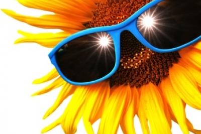 e9ad9fee9d0bc73e0b2c055eb0b268ce_l