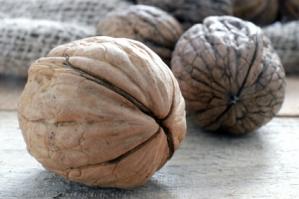 9c2fe6cb8c357cf6d57c8926869c1003_m